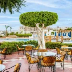 منتجع بيراميدز بارك